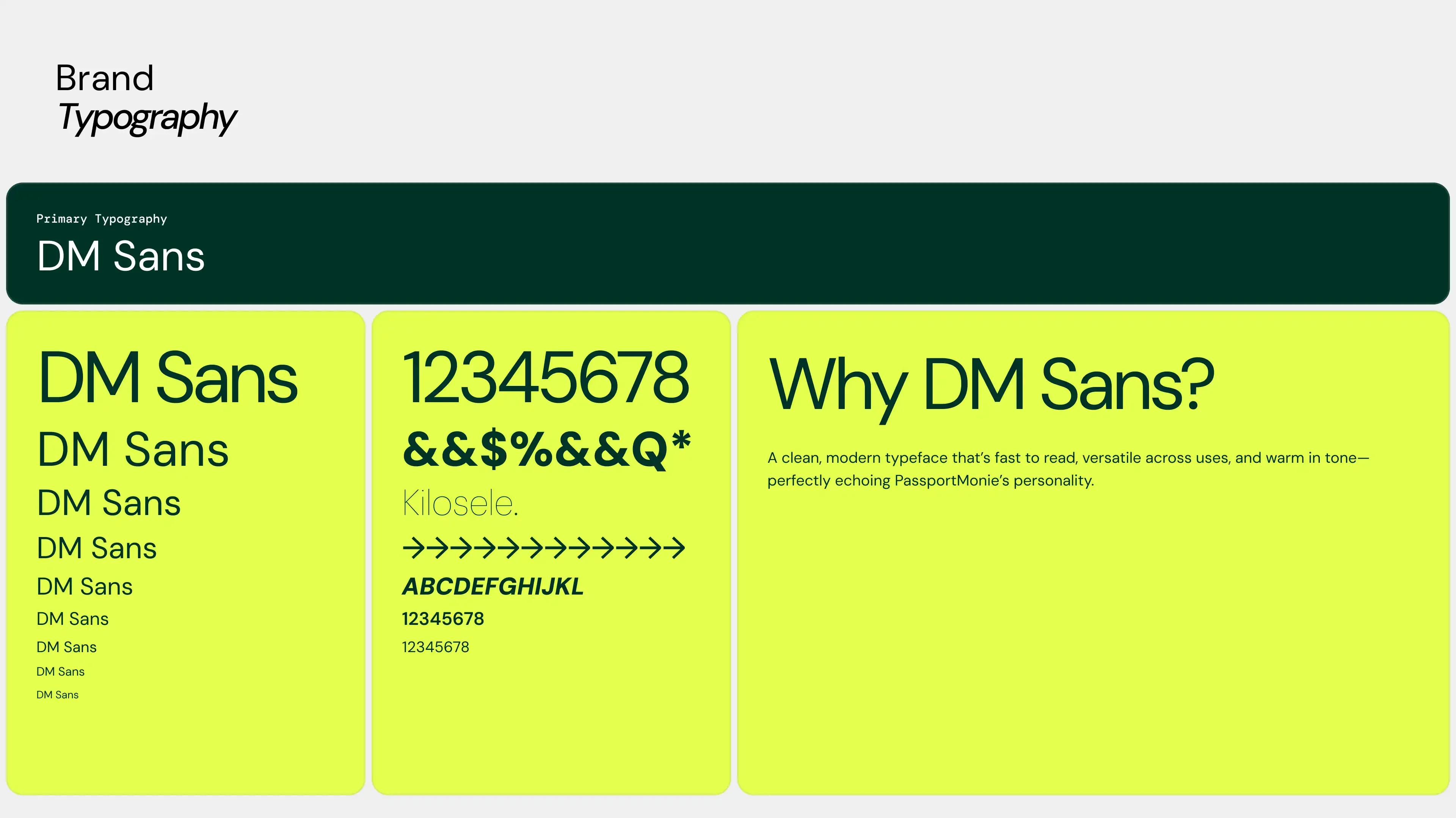 DM Sans as the primary typeface, and why