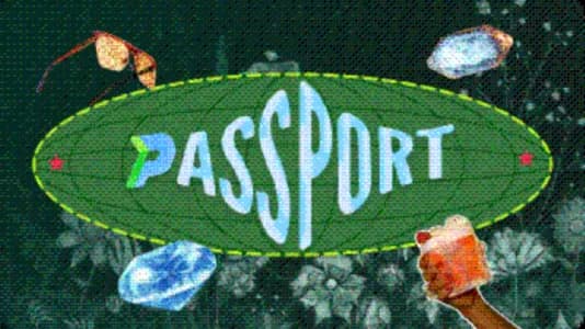PassportMonie